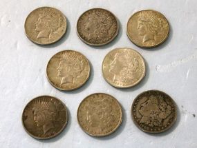 Seven Morgan Dollars