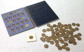 Buffalo Nickel Collection 