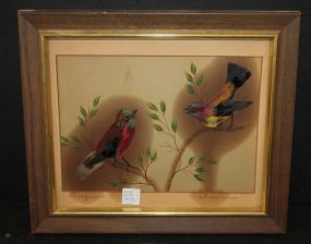 Print of Birds 14 1/2" w., 12 1/2" h.