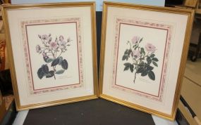 Two Prints of Roses French, 19"w., 23"h.