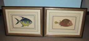 Pair of Lithographs of Fish by Ludwig Schmidt Pair of Lithographs of Fish by Ludwig Schmidt; Ostracion Trigonus and Chatodon Rhomboides; 27" w., 21 1/2" h.