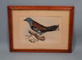 FJ Selloy "Roller" Lithograph