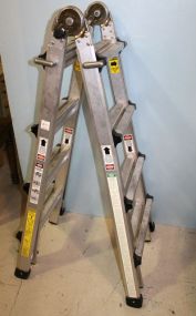 Cosco Multi-Use Ladder