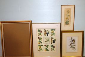 Fruit Prints, Floral Print & Frame