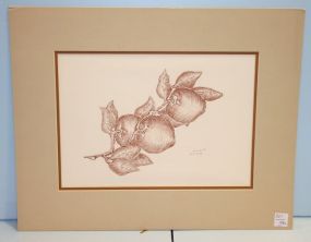 Pastel of Plums Drawing, signed Esmer Thomas