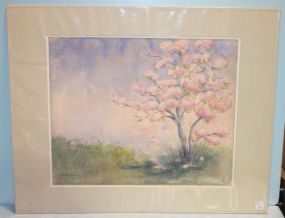 Watercolor of Mimosa Tree, signed Esmer Thomas