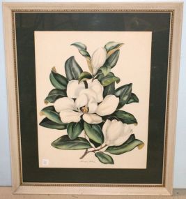Print of Magnolias Signed Eugene Arthur