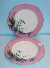  Two Hand painted Porcelain Plates 8 1/2" dia.