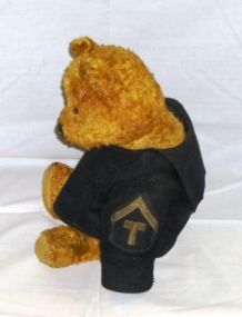 Early Stuffed Teddy Bear