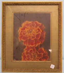 Print of Flower Signed SEK '81