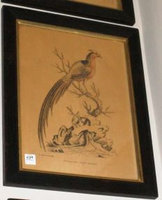  Hand Painted Bird Print with Ebonized Frame