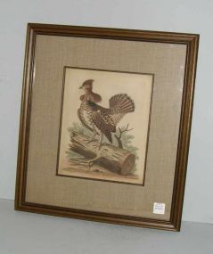Hand Tinted Engraving "A Species of Healthcock or Grouse From Pennsylvania Where it is Called a Pheasant", Signed and Dated Geo. Edwards Delin