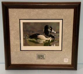 Duck Stamp Print 