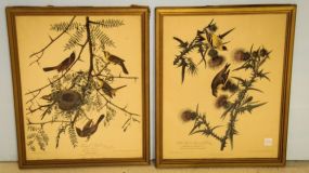 Two Bird Prints