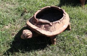 Terra Cotta Turtle Planter