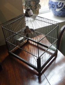 French Bird Cage