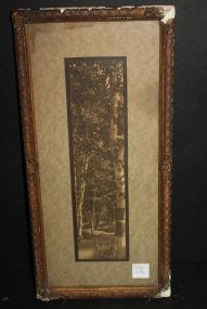 Old Photo in Vintage Frame, Corners Broken 8"w, 17"h.