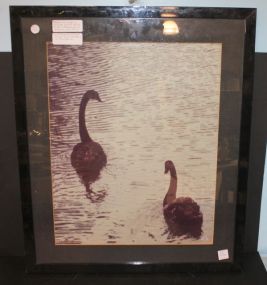 Stephen Kirkpatrick Original Signed Photo 2 0f 15, 21"w., 26"h.