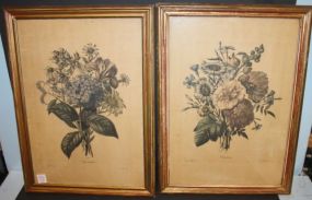 Pair of French Floral Prints 14"w, 19"h