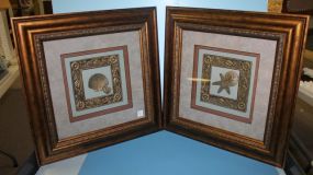 Polaroid Land Camera