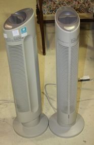 Glass Plate with Etched Roses