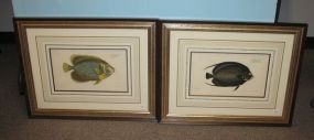 Pair of Lithographs of Fish by Ludwig Schmidt