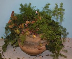 Terra Cotta Urn with Plant