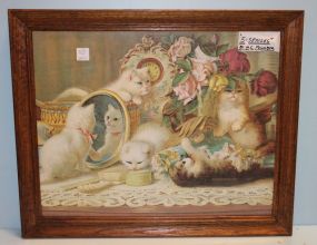 Picture of Cat, "Five Senses"