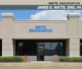 Silent Auction Item. Root Canal by Dr. James D. Watts