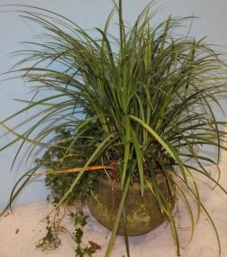 Concrete Pot with Plant