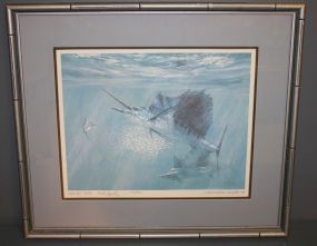 Sailfish limited Edition Print "Ballin Bait-Sailfish"