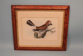 R. Milford "Jay" Lithograph