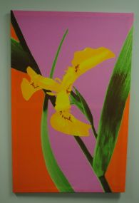 Marimekko (Finland) Design