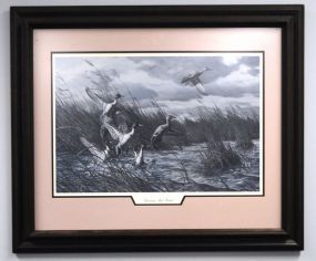 One Print by the Late Harry Adamson, Springing Aloft-Pintails.