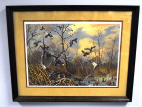 One Print by Harry Adamson of Mallards