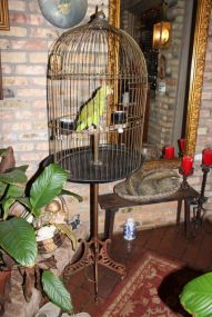 Bird Cage