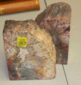 Pair of Petrified Wood Bookends