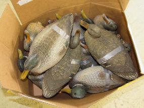 Twelve Used Duck Decoy