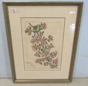 Framed Plant Studies "Pink May" Print