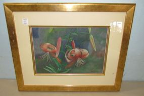 Framed Lily Print by Martha Jo White
