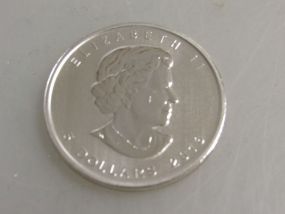 2013 Elizabeth II 5 Dollars Silver Coin