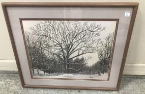 "The Boundary Oak" Print by Otis Polley