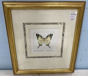 Sharon Morris Kincheloe "Five Bar Swordtail" Print