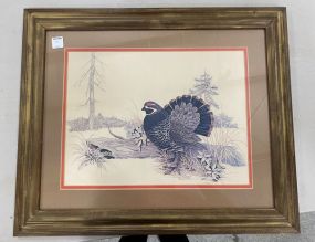Vintage "Game Bird" Print by  F. Massa