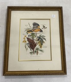 Signed Bird Lithograph