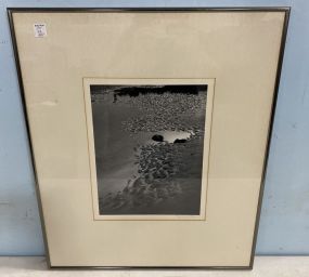 Marion Brown "Ocean" Framed Photograph