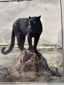 Charles Frace Limited Edition Collector Print "Black Leopard"