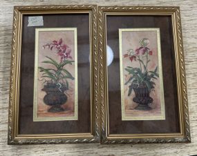 Two Barbara Mock Framed Prints