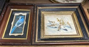 Two Vintage Framed Bird Prints