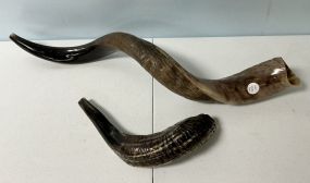 Kudu Shofars, which are musical instruments